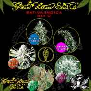 Green House Seeds Sativa Indica Mix D